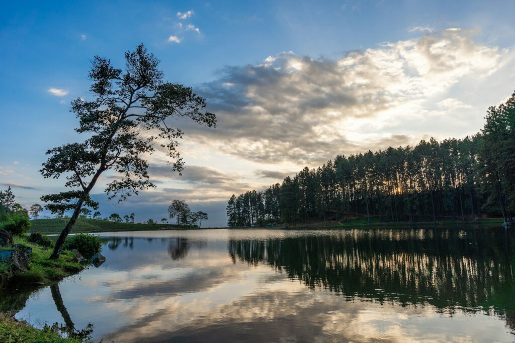Calm lake reflecting a cloudy sky and dense forest